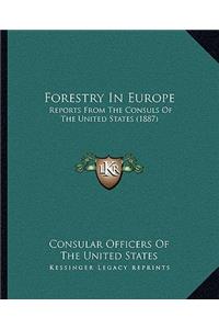 Forestry In Europe