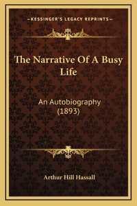 Narrative Of A Busy Life