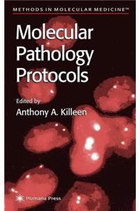 Molecular Pathology Protocols. Methods in Molecular Medicine, Volume 49.