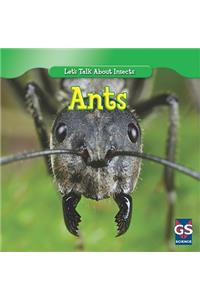 Incredible Ants