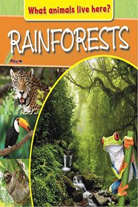 What Animals Live Here?: Rainforests