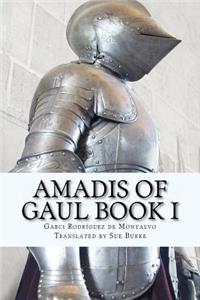 Amadis of Gaul Book I