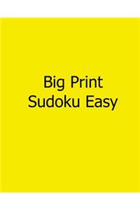 Big Print Sudoku Easy