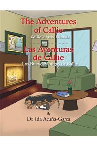 Adventures of Callie - Callie's New Friends