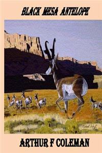 Black Mesa Antelope