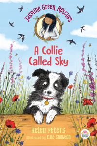 Jasmine Green Rescues: A Collie Called Sky