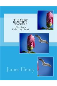 The Most Beautiful Seagulls