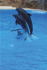 Two Dolphins Jumping Journal: 150 Page Lined Notebook/Diary