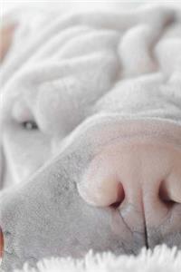 Sweet Face of a Snoozing Shar Pei Puppy Dog Journal
