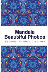 Mandala Beautiful Photos: It Is Not a Photo Book, It Is Password Notebook *Smartly Hiding Your Secret*