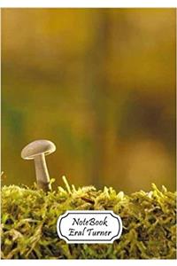 Notebook Mushroom