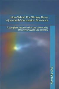 Now What! For Stroke, Brain Injury and Concussion Survivors