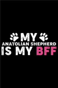 My Anatolian Shepherd Is My BFF