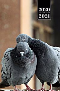 Pigeon Ornithology Bird Watching Birding Week Planner Weekly Organizer Calendar 2020 / 2021 - In Love
