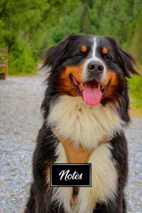 Bernese Mountain Dog Pup Puppy Doggie Notebook Bullet Journal Diary Composition Book Notepad - In the Woods