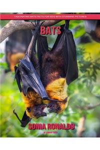 All About Bats