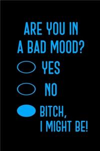 Are You In A Bad Mood? Yes, No, Bitch I Might Be