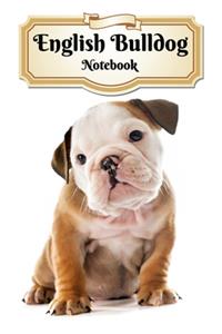 English Bulldog Notebook