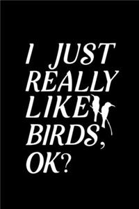 I Just Really Like Birds, OK