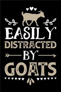 Easily Distracted By Goats