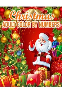 Christmas Adult Color By Numbers
