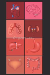 Organ-ized