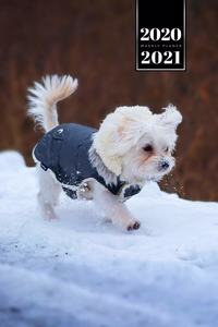 Maltese Dog Calendar Week Planner 2020 / 2021 - Snow Walk