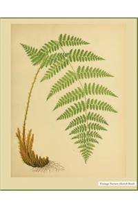 Vintage Nature Sketch Book