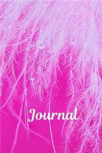 Journal