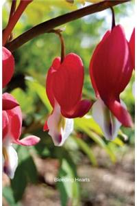 Bleeding Hearts
