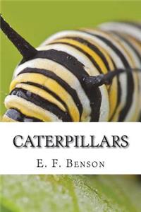 Caterpillars