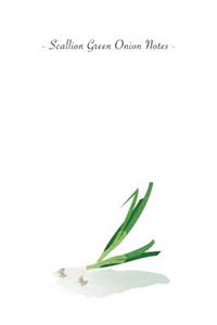 Scallion Green Onion Notes