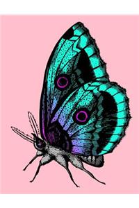 Butterfly Sketchbook: Butterfly Bordered Sketchbook for Kids. Funny Butterfly Drawing Book for Boys and Girls (Blank Bordered Sketchbooks)150 Pages Large 8.5x11 Butterfly Sketch Paper Book