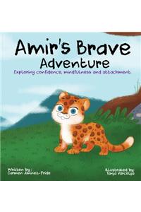 Amir's Brave Adventure