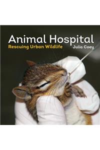 Animal Hospital: Rescuing Urban Wildlife
