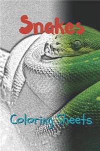 Snake Coloring Sheets