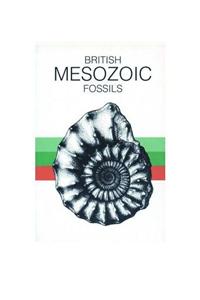 The British Palaeozoic Fossils
