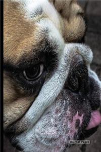 Journal Pages - Close Up Dog(unruled)