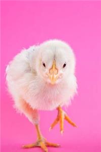 Cute Fluffy Chicken Notebook