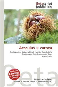 Aesculus X Carnea