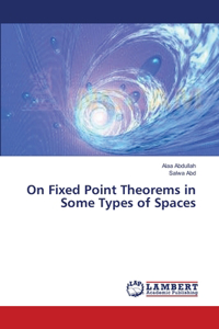 On Fixed Point Theorems in Some Types of Spaces