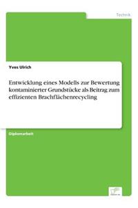 Entwicklung Eines Modells Zur Bewertung Kontaminierter Grundstucke ALS Beitrag Zum Effizienten Brachflachenrecycling