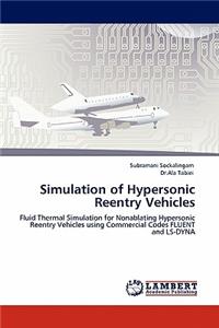 Simulation of Hypersonic Reentry Vehicles