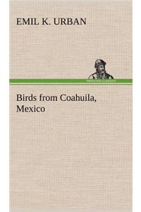 Birds from Coahuila, Mexico