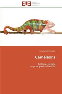 Caméléons