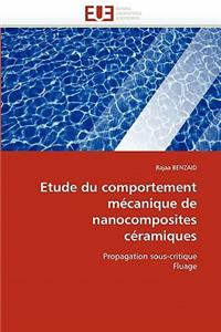 Etude Du Comportement M?canique de Nanocomposites C?ramiques