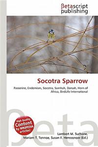 Socotra Sparrow