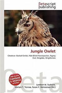 Jungle Owlet