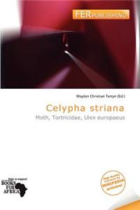 Celypha Striana