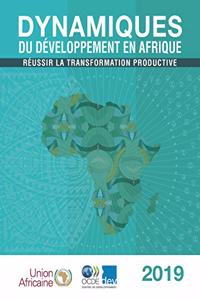 Dynamiques Du Développement En Afrique 2019 Réussir La Transformation Productive